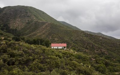 Dorland Mountain Arts, Renovation