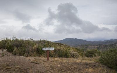 Dorland Mountain Arts, Renoviert